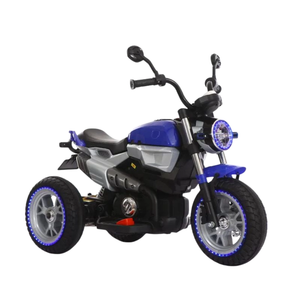 Custom Bike 3 Wheeler