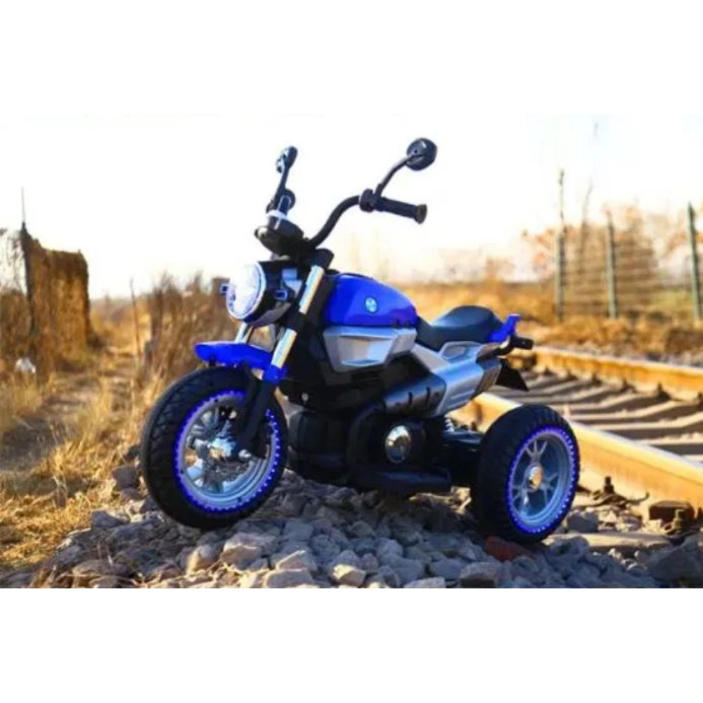 Custom Bike 3 Wheeler