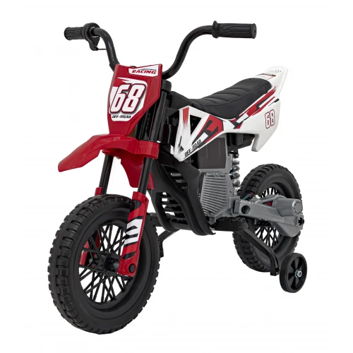 Vehicle Motor PANTONE 361C Red
